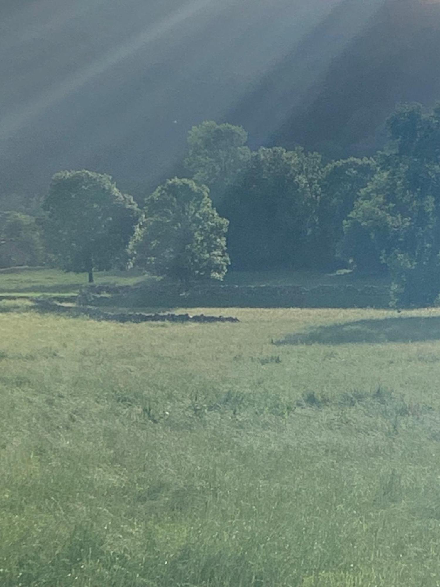 Molino de Renedo a orillas del río Saja Renedo De Cabuerniga Exterior foto
