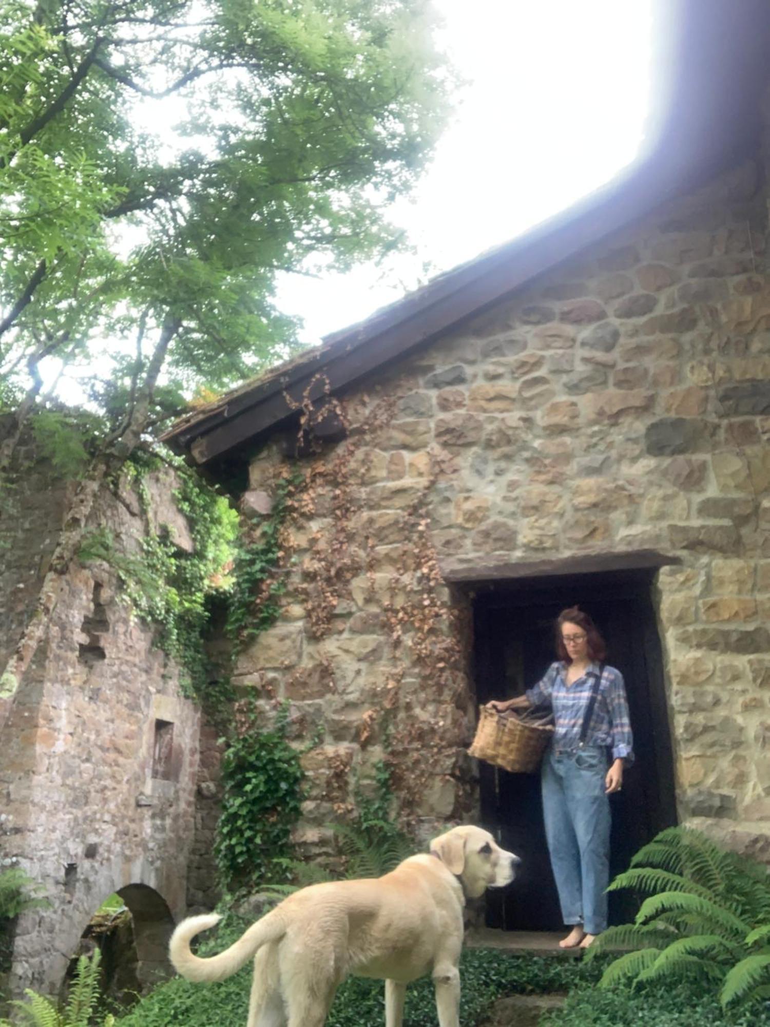 Molino de Renedo a orillas del río Saja Renedo De Cabuerniga Exterior foto